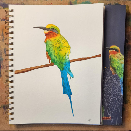 "Blue-Tailed Bee-Eater"