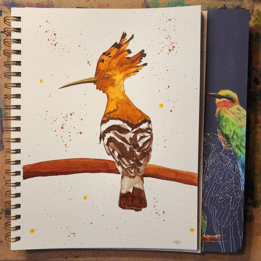 "Eurasian Hoopoe"