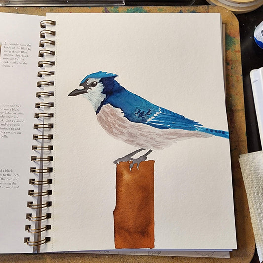 "Blue Jay"