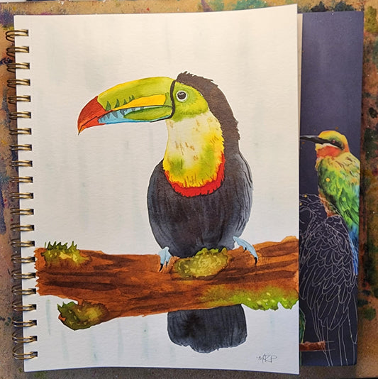 "Toucan"