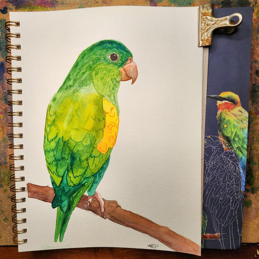 "Parakeet"