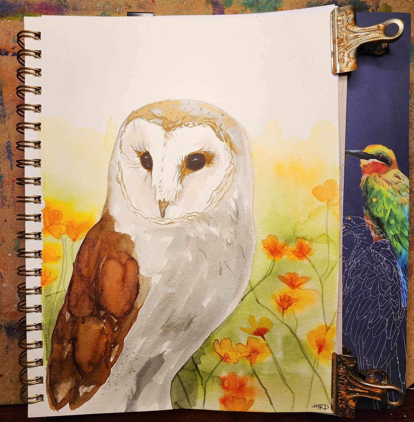 "Barn Owl"